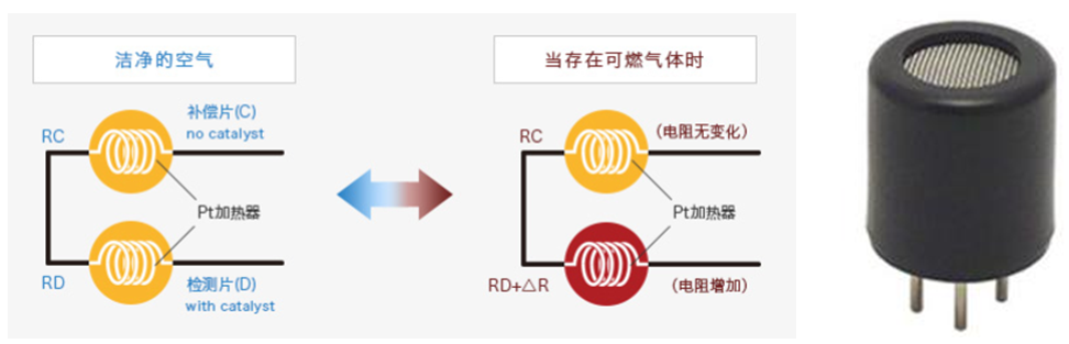 好博体育科技